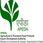 logo5